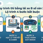 Quy trình thi bằng lái xe B số sàn 2026: Lộ trình 4 bước bắt buộc